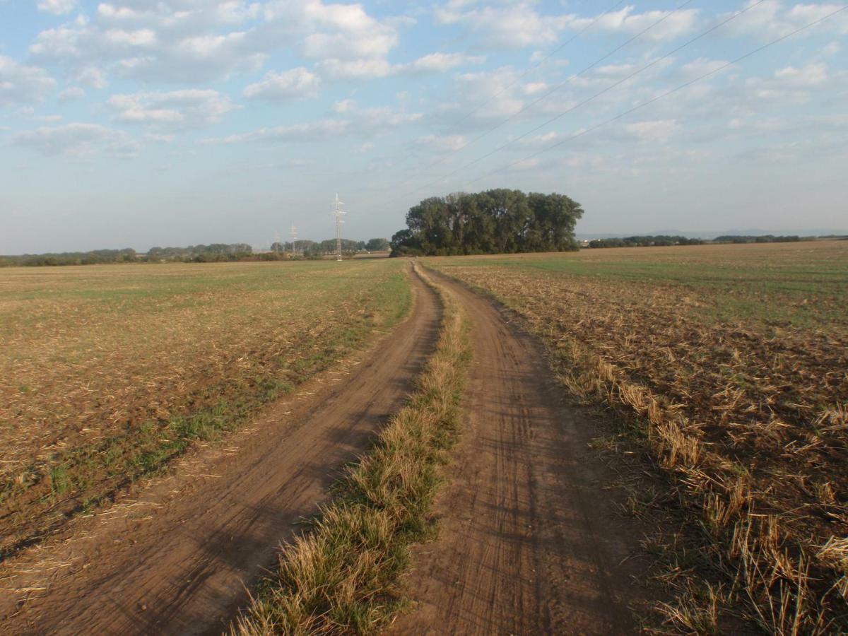Penzion U Malera Hroznova Lhota Exterior foto